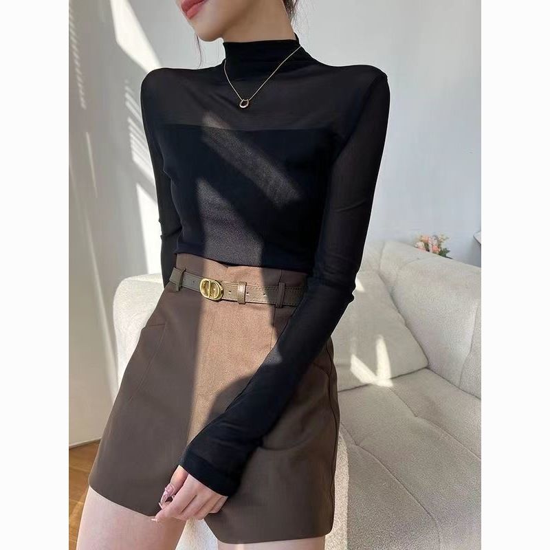 Retro Mesh Semi-Turtleneck Long-Sleeve Top / Slim Fit