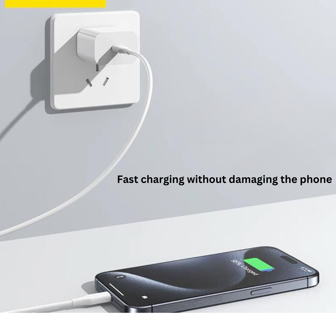 Pisen 20W GaN Fast Charger with Type-C Cable for iPhone