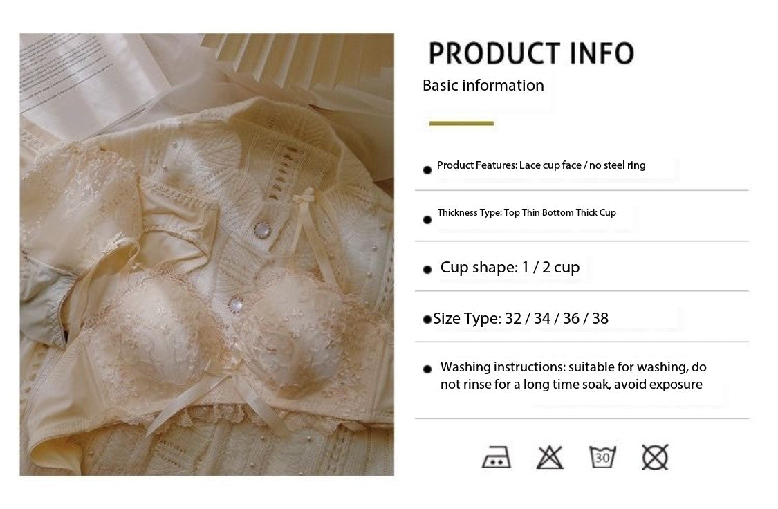 Japanese sweet cream embroidered lace underwear push-up no wire bra set