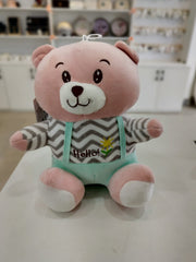 Hello Print Soft Teddy Bear – Plush Toy for Kids and Personalized Gifts