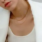 Double Layered Snake Chain Necklace for Women – High-End Gold Titanium Steel Vintage Clavicle Choker - Image 7
