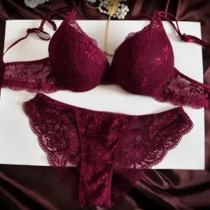 French Lace Push-Up Bra & Panty Set