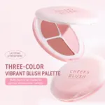 NOVO Mood Three-Color Blush Palette – Natural Matte Powder Blush, Long-Lasting & Smooth Finish