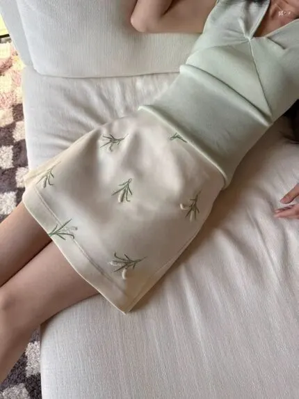 Embroidered High Waist A-Line Mini Skirt