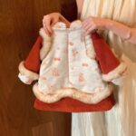 Padded Qipao Dress - Image 4