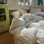 French Lace Trim Cotton Bedding Set - Image 3