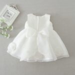 Baby Girl Princess Tulle Party Dress - Image 4